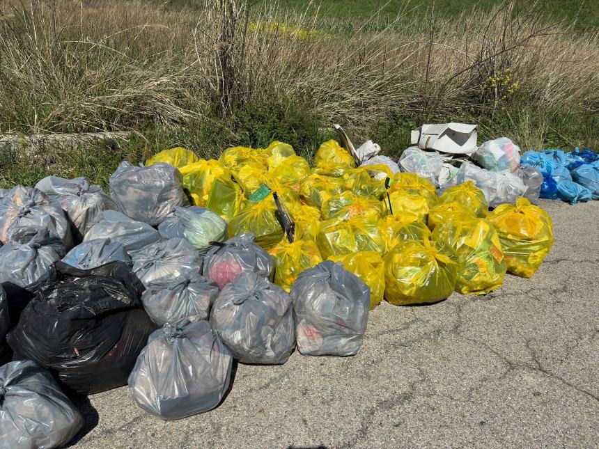 Plastic Free alla prima giornata ecologica