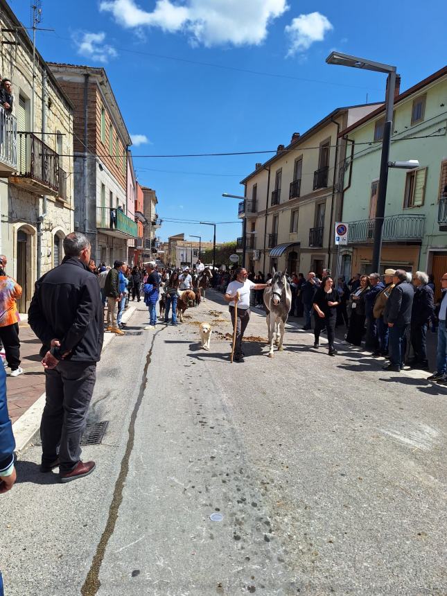 La festa degli animali nell'ultimo sabato di aprile