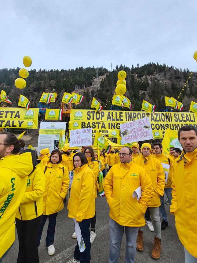 "Al Brennero centinaia di abruzzesi per chiedere stop ai prodotti stranieri senza regole"