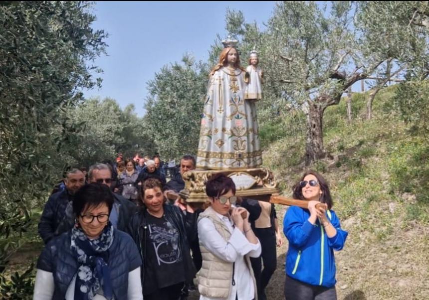 La statua della Madonna Nera in processione tra gli ulivi 