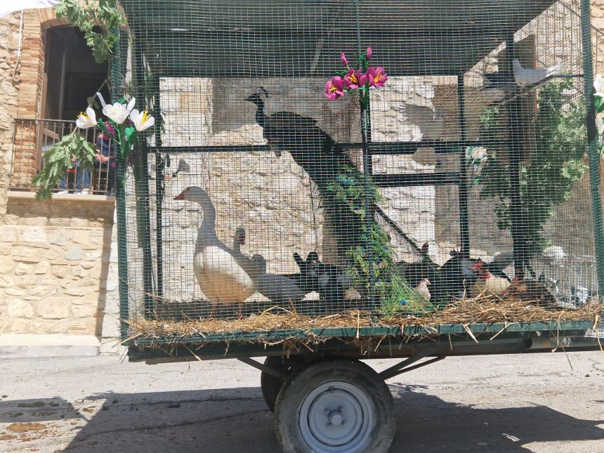 La festa degli animali nell'ultimo sabato di aprile