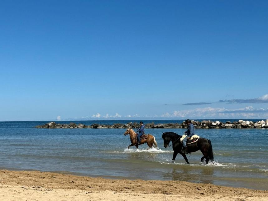 La passeggiata in spiaggia a cavallo è sempre uno spettacolo unico
