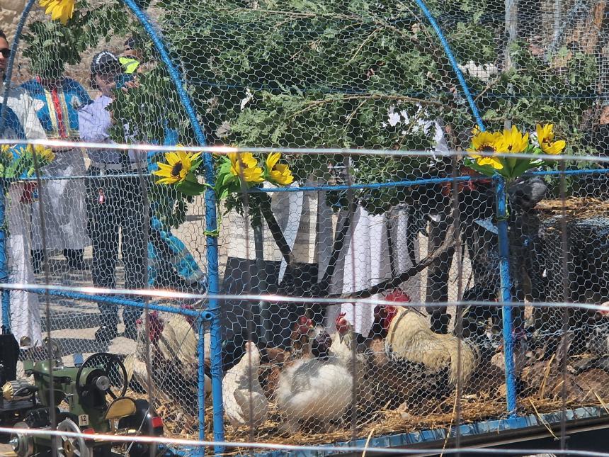 La festa degli animali nell'ultimo sabato di aprile