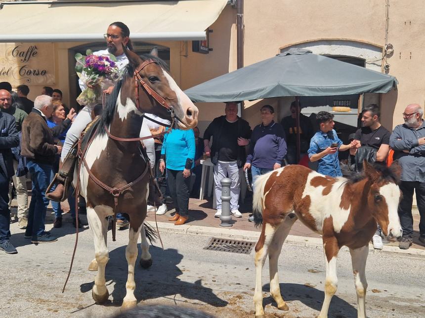 La festa degli animali nell'ultimo sabato di aprile