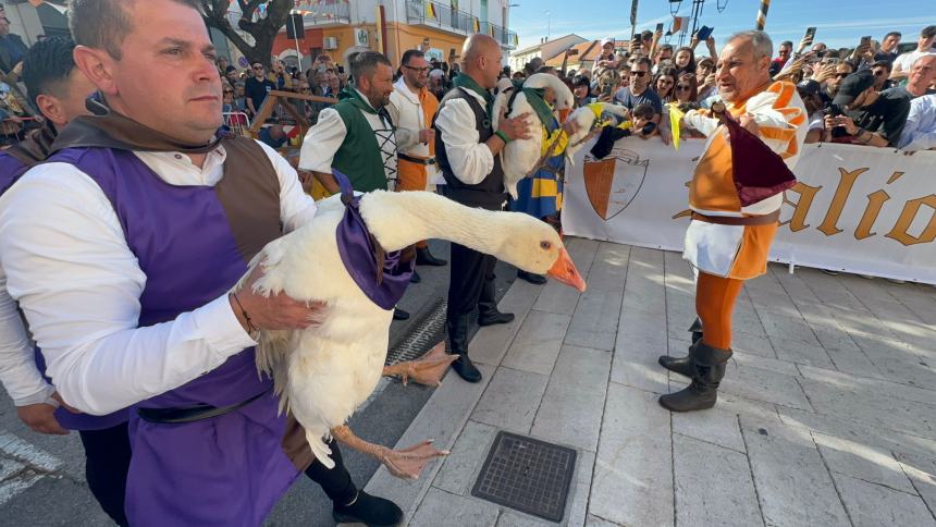 Il palio delle Oche