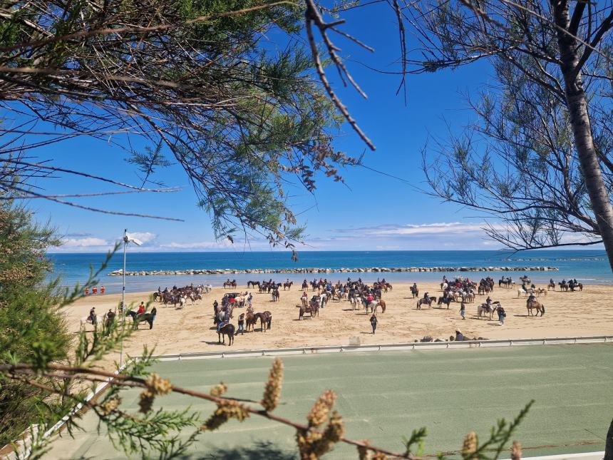 Cavalieri Angioini di Colletorto sulla spiaggia di Termoli