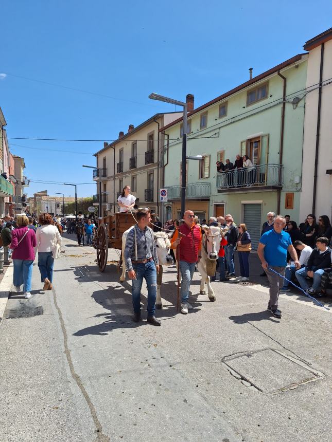 La festa degli animali nell'ultimo sabato di aprile