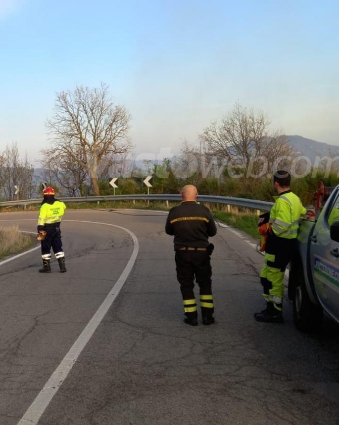 Ampio rogo a Carunchio: in fiamme 15 ettari e 2 Canadair in azione