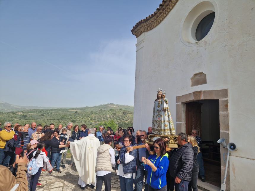 La statua della Madonna Nera in processione tra gli ulivi 