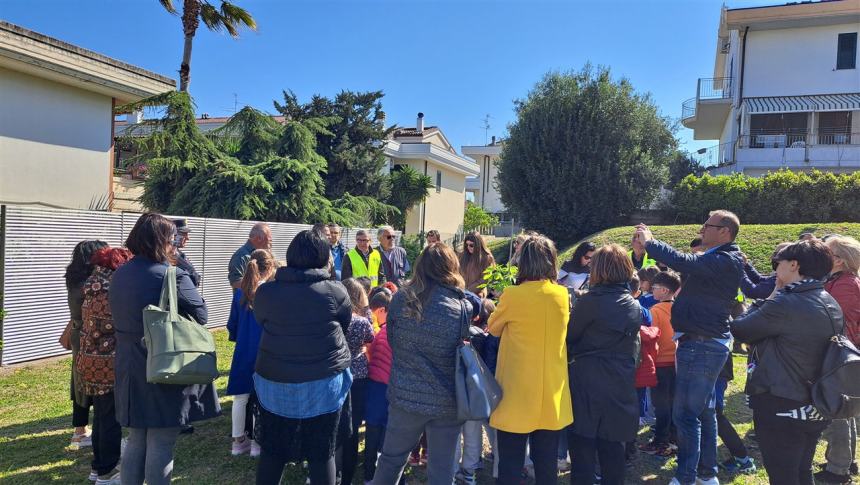 "Il giuramento del leccio", bimbi di San Giacomo piantano nuovi alberi