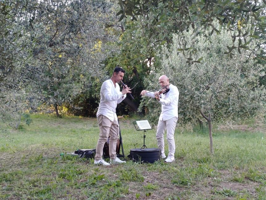 Merenda all'oliveta, il benessere nella natura