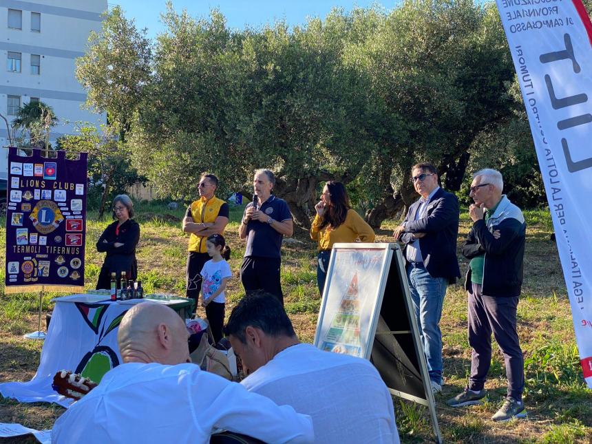 Merenda all'oliveta, il benessere nella natura