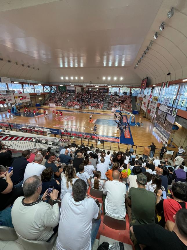 Vasto basket-Air Termoli