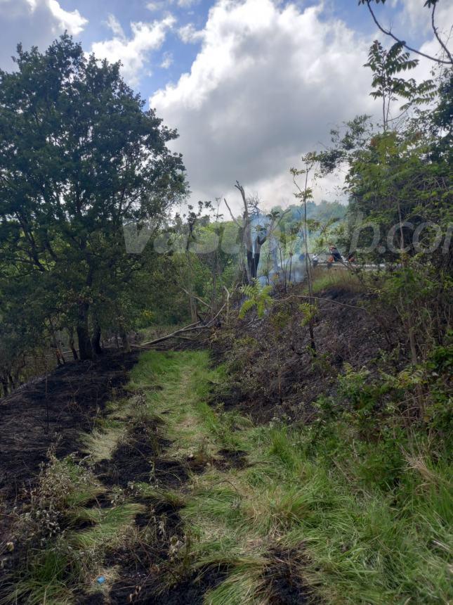 Fiamme in un bosco in territorio di Liscia, intervengono i vigili del fuoco