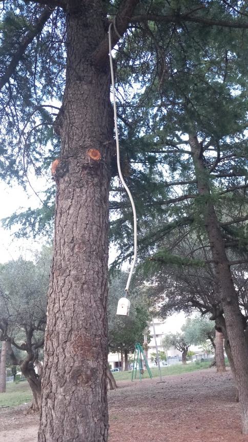 "Villetta San Paolo all'abbandono, si intervenga per ripristinarne il decoro"