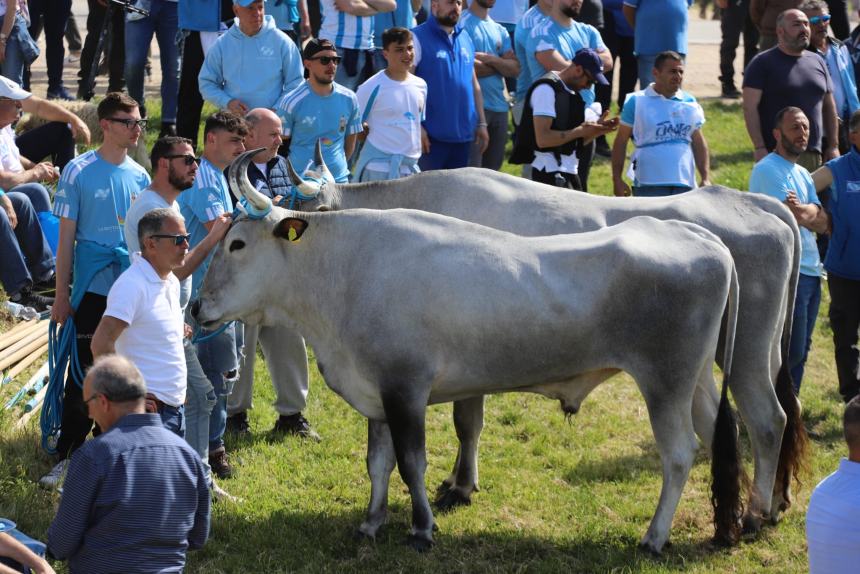 L'album della Carrese 2024 di San Martino in Pensilis