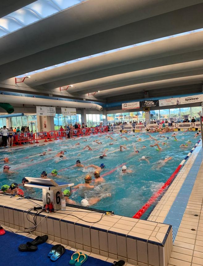 H20 Sport: Vasto brilla alla 3ª tappa della Molise Swim Cup 