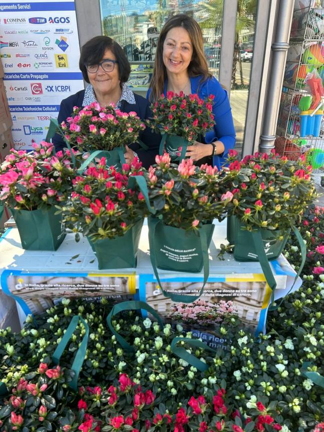 Successo per l’Alzalea dell’Airc a Vasto: “L’importo raggiunto tra i più alti in 10 anni”