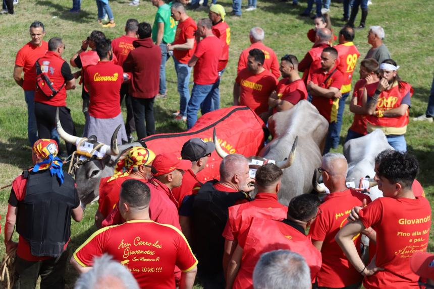 L'album della Carrese 2024 di San Martino in Pensilis