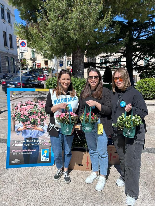 Successo per l’Alzalea dell’Airc a Vasto: “L’importo raggiunto tra i più alti in 10 anni”