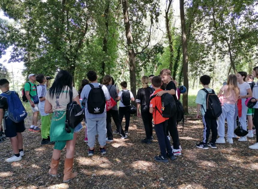 Educazione ambientale: centinaia di studenti in visita  alla Riserva Borsacchio