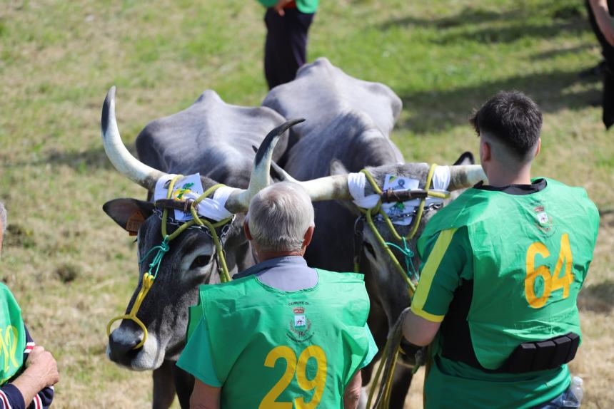 L'album della Carrese 2024 di San Martino in Pensilis