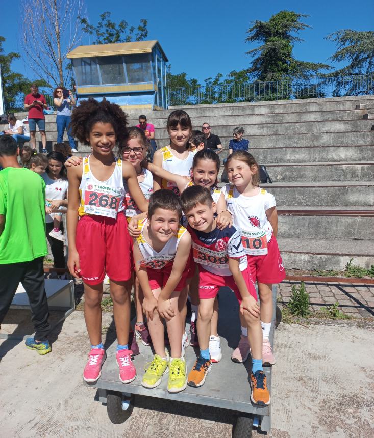 Weekend di vittorie per l'Athletic Club Termoli al campionato regionale