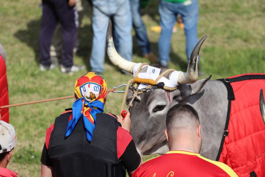 L'album della Carrese 2024 di San Martino in Pensilis