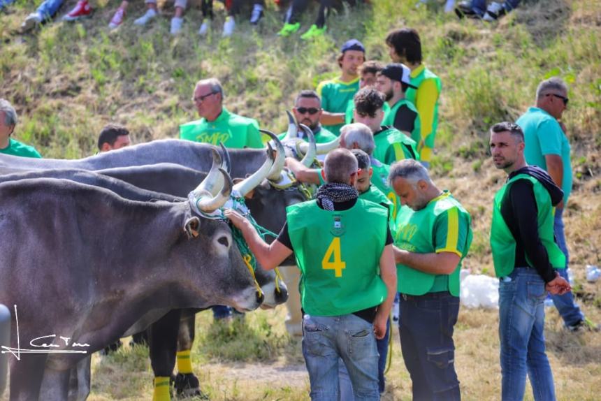 L'album della Carrese 2024 di San Martino in Pensilis