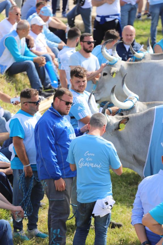 L'album della Carrese 2024 di San Martino in Pensilis