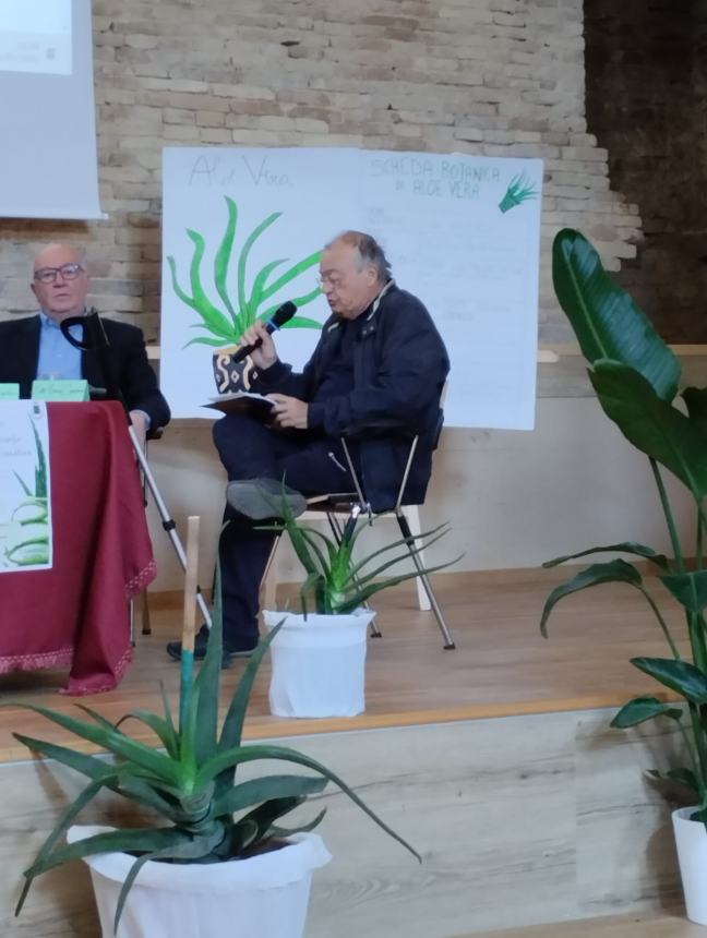 “Aloe vera: pianta ornamentale e curativa”, i benefici spiegati dai ragazzi di Pollutri 