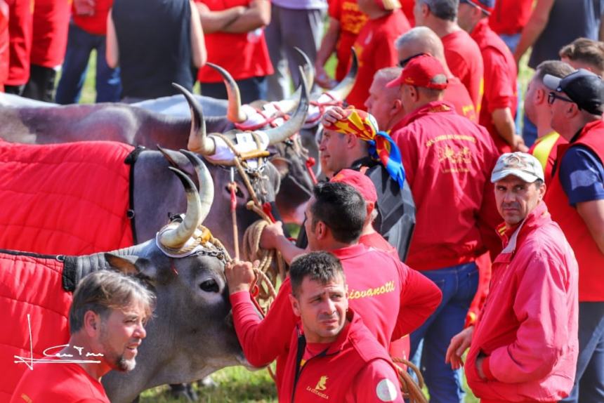 L'album della Carrese 2024 di San Martino in Pensilis