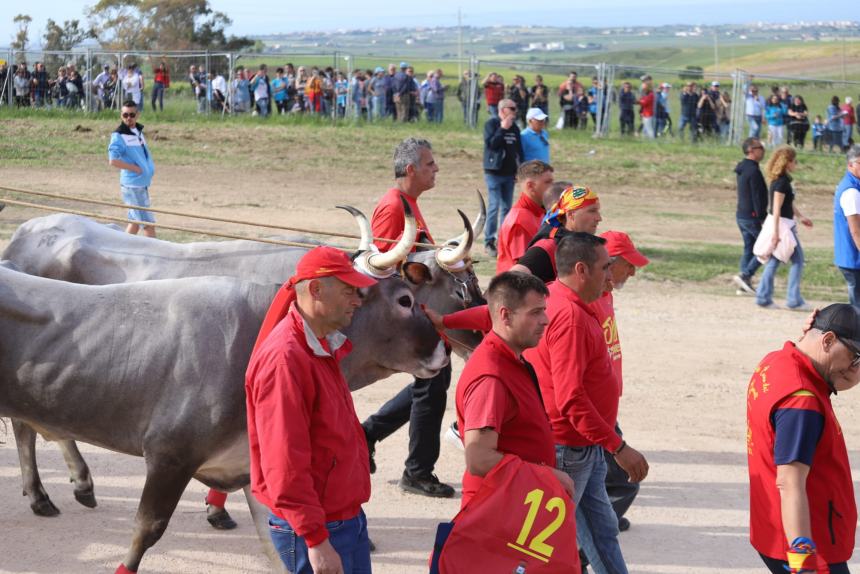 L'album della Carrese 2024 di San Martino in Pensilis