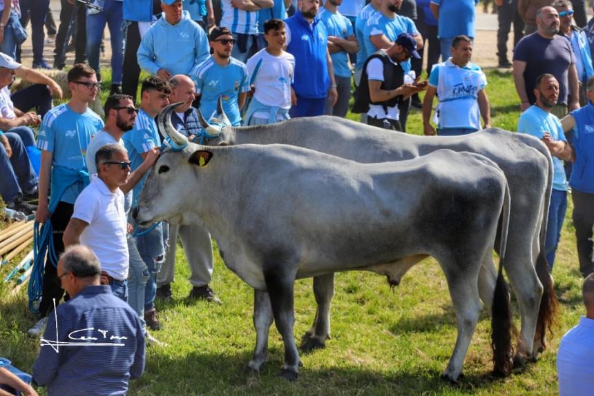 L'album della Carrese 2024 di San Martino in Pensilis