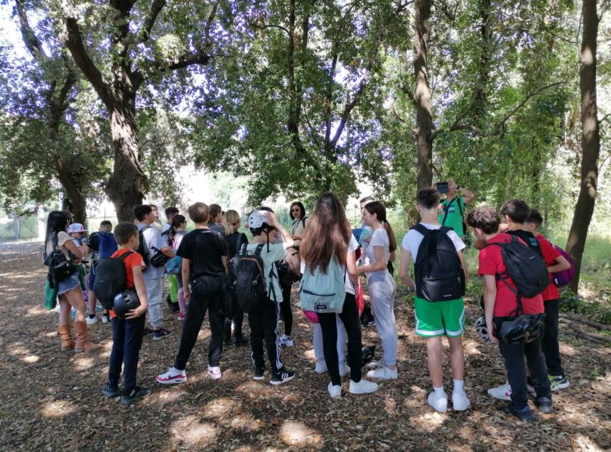 Educazione ambientale: centinaia di studenti in visita  alla Riserva Borsacchio