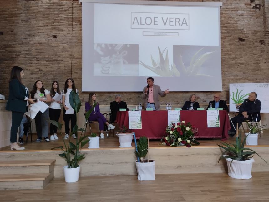 “Aloe vera: pianta ornamentale e curativa”, i benefici spiegati dai ragazzi di Pollutri 