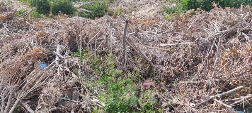 Discarica di ingombranti a "La Fregata", come si sfregia un accesso al mare