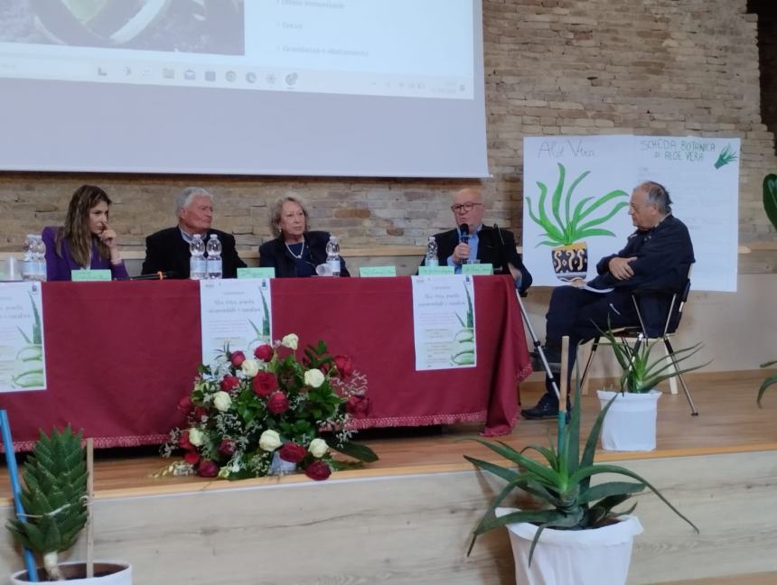 “Aloe vera: pianta ornamentale e curativa”, i benefici spiegati dai ragazzi di Pollutri 