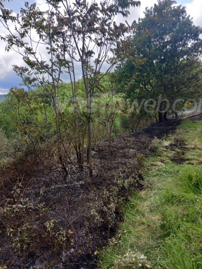 Fiamme in un bosco in territorio di Liscia, intervengono i vigili del fuoco