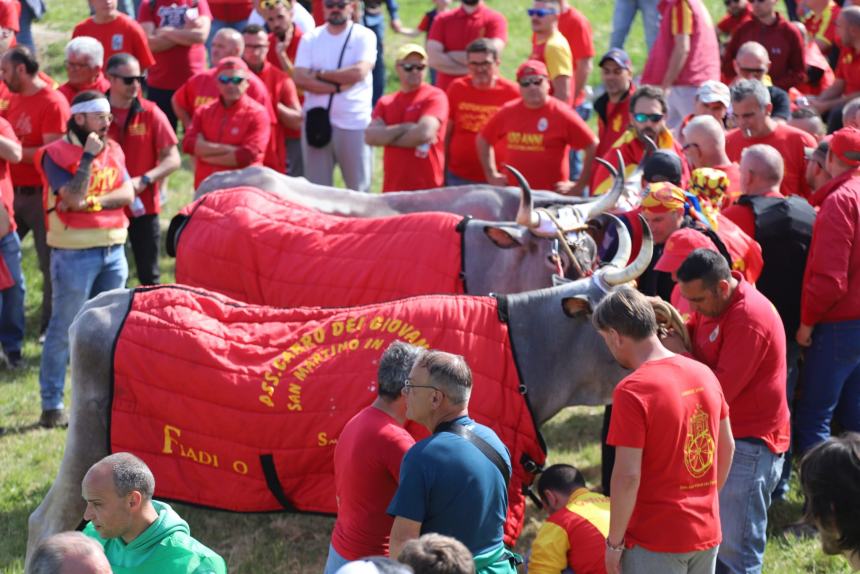 L'album della Carrese 2024 di San Martino in Pensilis