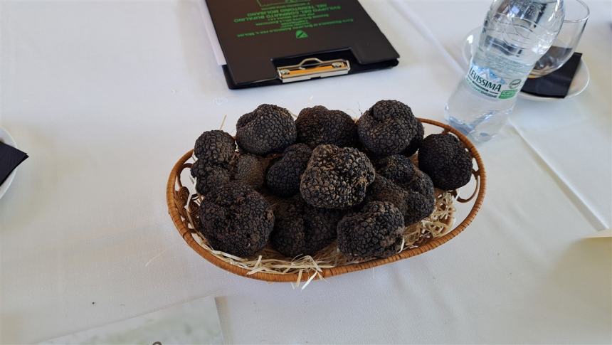 "Il tartufo nel piatto" alla scoperta dei migliori abbinamenti di ingredienti d’eccellenza