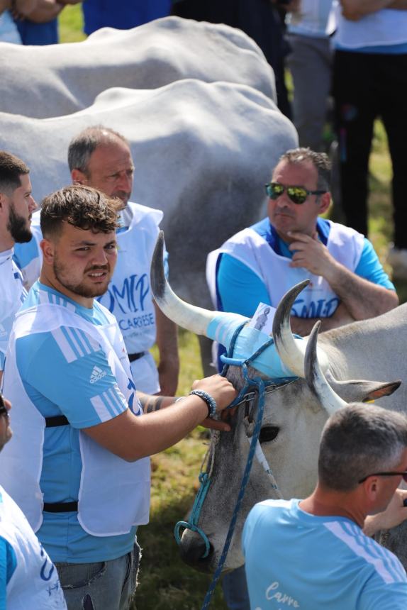 L'album della Carrese 2024 di San Martino in Pensilis