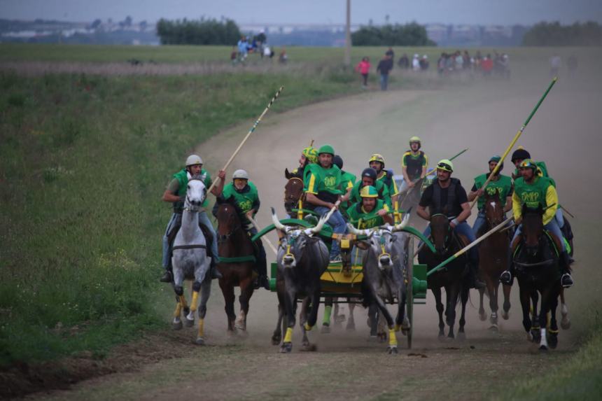 L'album della Carrese 2024 di San Martino in Pensilis