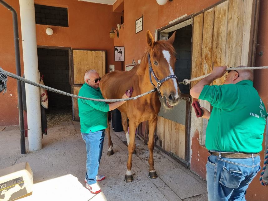 L’equitazione paralimpica protagonista all’Ippoform 