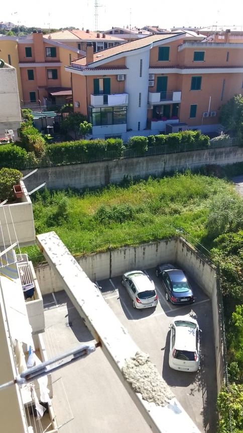 Il verde urbano a Termoli, nelle immagini diffuse da Daniela Decaro