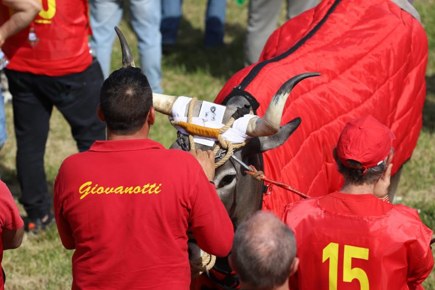 L'album della Carrese 2024 di San Martino in Pensilis