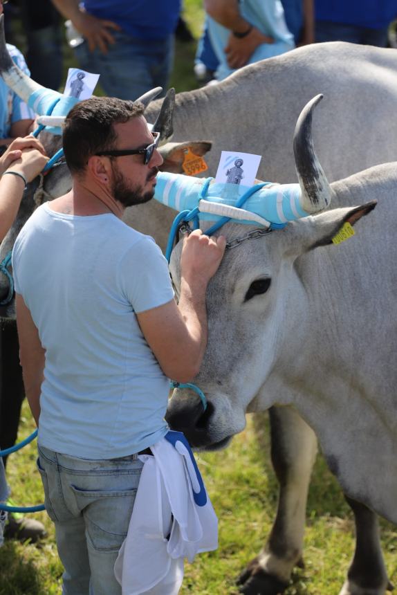 L'album della Carrese 2024 di San Martino in Pensilis