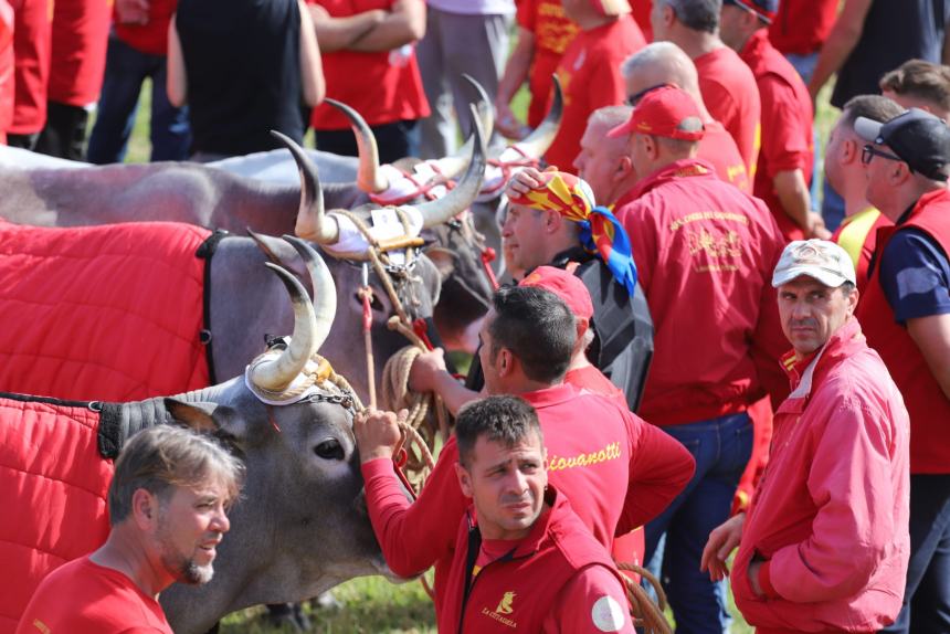 L'album della Carrese 2024 di San Martino in Pensilis