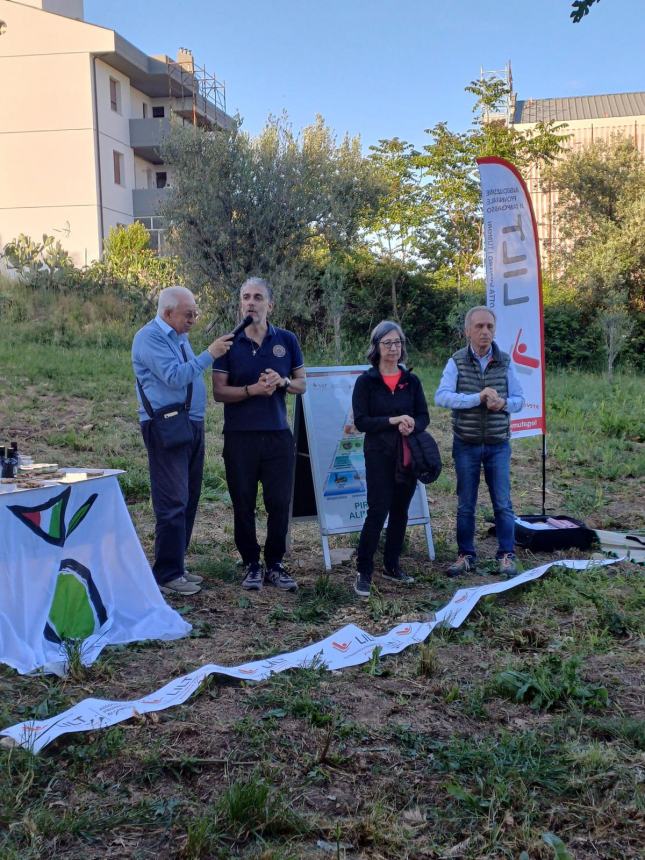 Merenda all'oliveta, il benessere nella natura