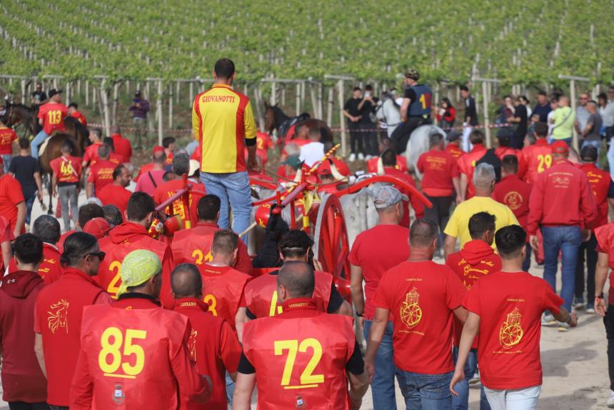 L'album della Carrese 2024 di San Martino in Pensilis